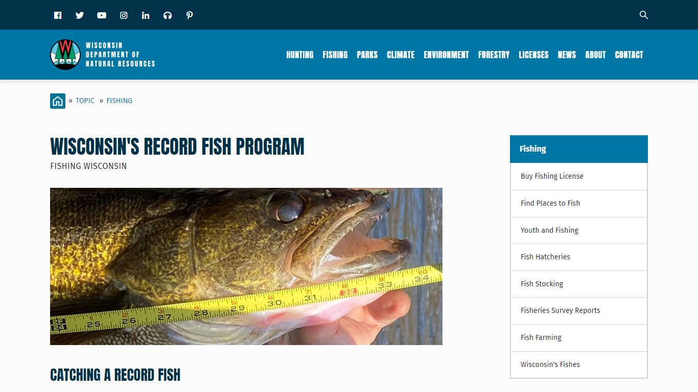 Wisconsin's record fish program | Fishing Wisconsin | Wisconsin DNR